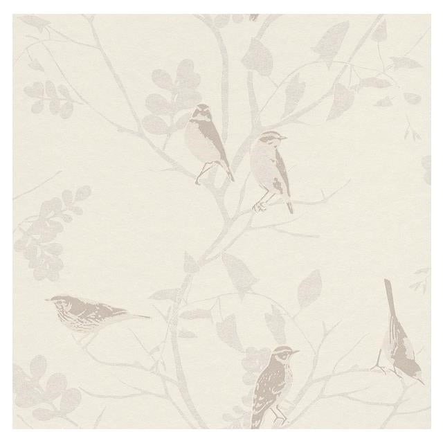 Search WW-268576 Cosy White Brown Birds by Washington Wallpaper