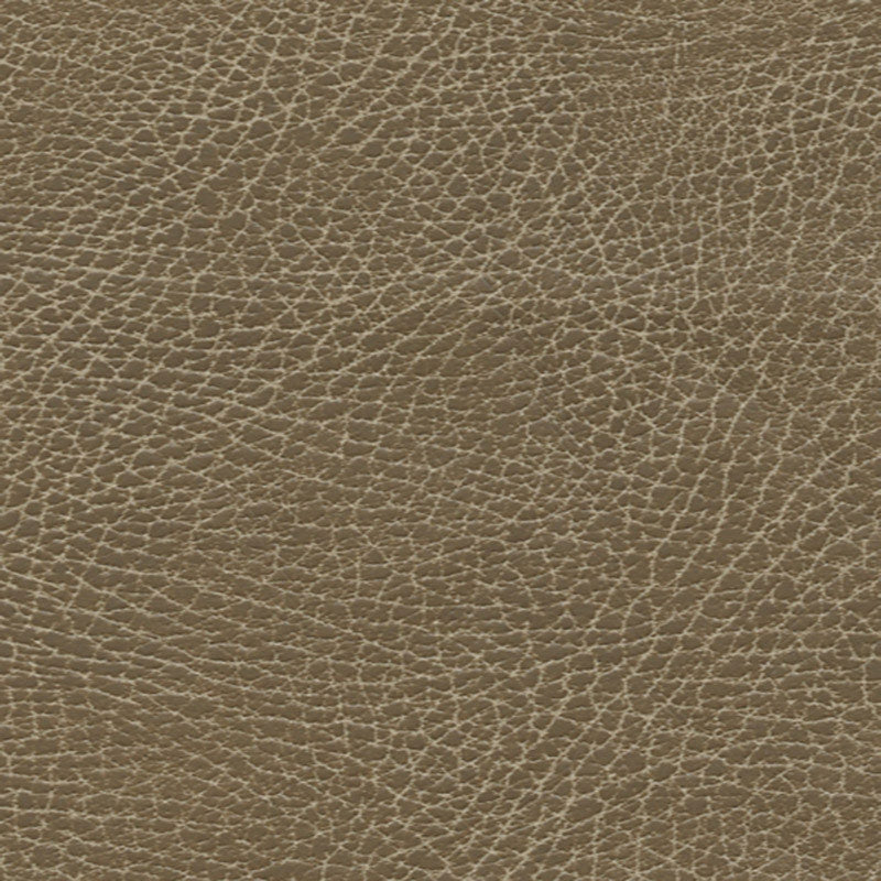 Purchase sample of 335-3137 Brisa Distressed, Saddle by Schumacher Fabric
