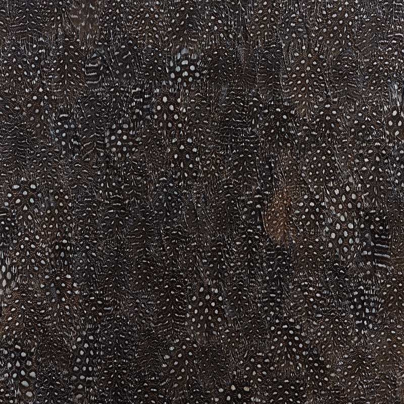 Select 5008378 Titanium Black & White Schumacher Wallpaper