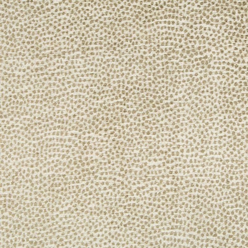 Shop 34971.16.0 Skins Beige by Kravet Design Fabric