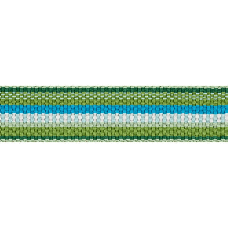 75980 | Primavera Tape Narrow, Meadow - Schumacher Fabric