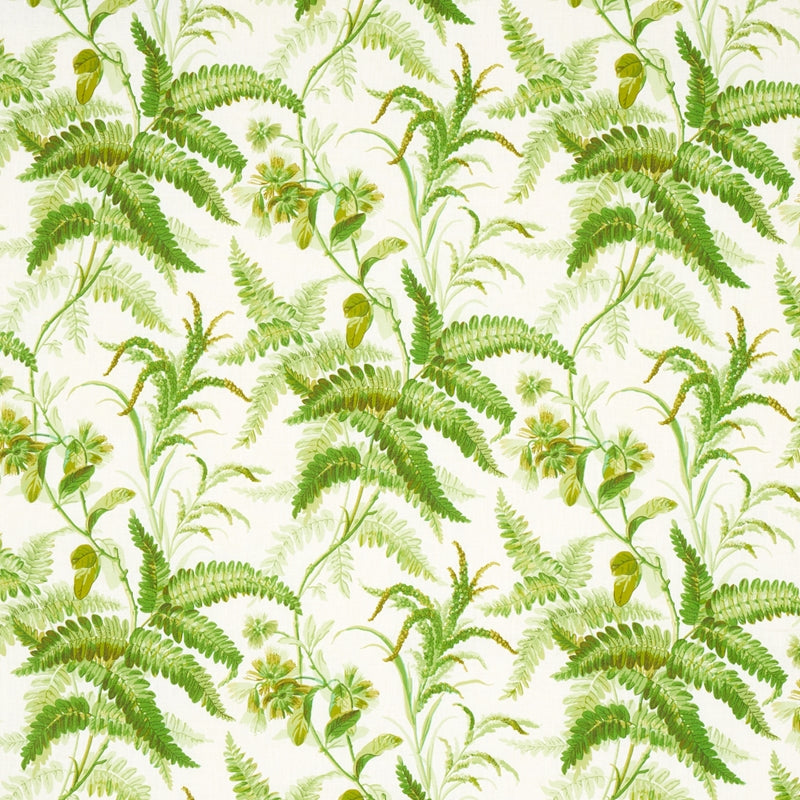 Purchase sample of 180100 Myers Fern Linen, Tropical by Schumacher Fabric