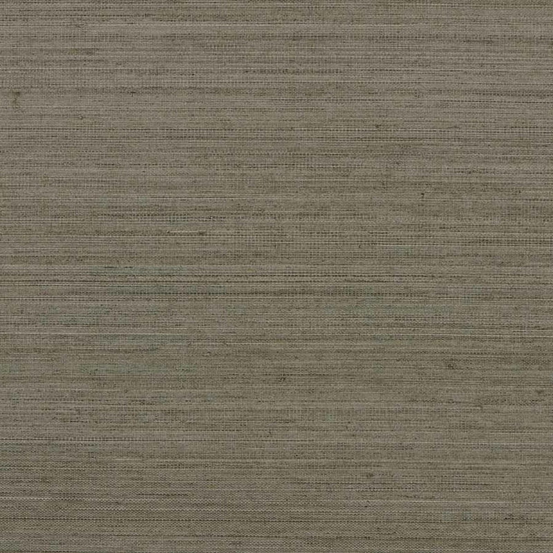 Purchase 1112 Tailored Walls Abaca Harvest Cactus Green Phillip Jeffries Wallpaper