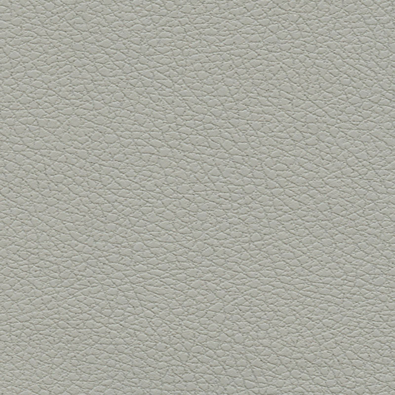 Purchase sample of 303-5820 Brisa, Quicksilver by Schumacher Fabric