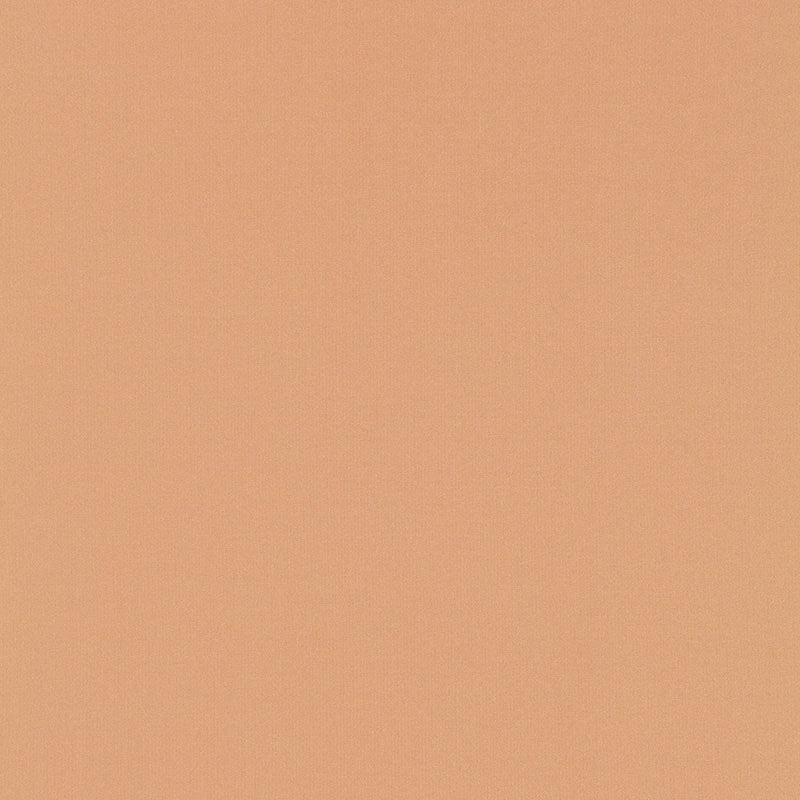 Purchase sample of 63991 Giordano Taffeta, Cameo by Schumacher Fabric