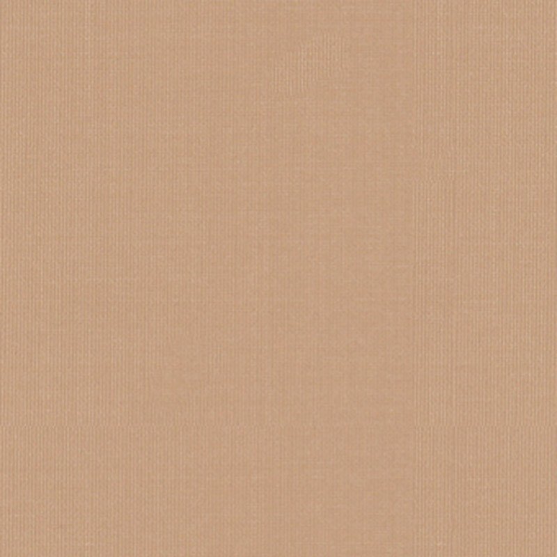Purchase sample of 22680 Sargent Silk Taffeta, Buff by Schumacher Fabric