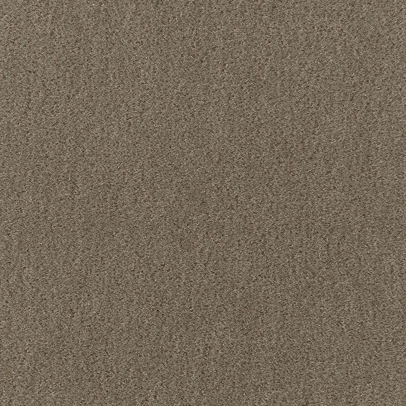 Purchase sample of 64930 Palermo Mohair Velvet, Thyme by Schumacher Fabric