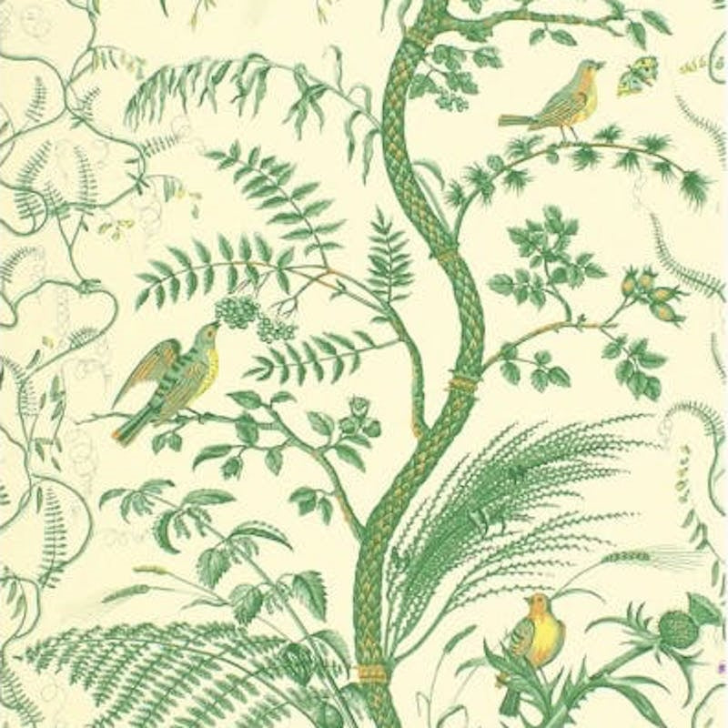 Find BR-69518.435 Bird And Thistle Green by Brunschwig Fils