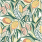 Search 4014-26419 Seychelles Meyer Peach Citrus Wallpaper Peach A-Street Prints Wallpaper