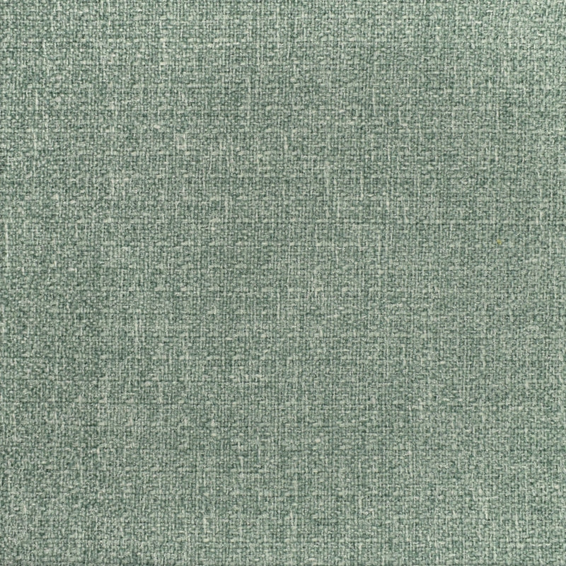 Save F2916 Willow Solid Upholstery Greenhouse Fabric