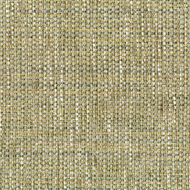 Shop S5398 Grass Green Greenhouse Fabric