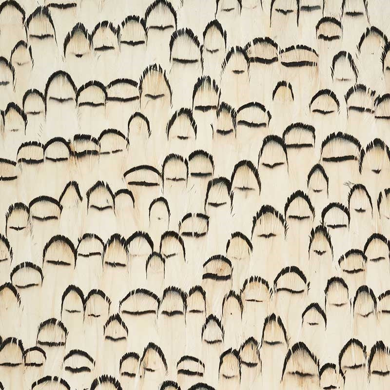 Acquire 5008386 Rock Crystal White Schumacher Wallpaper