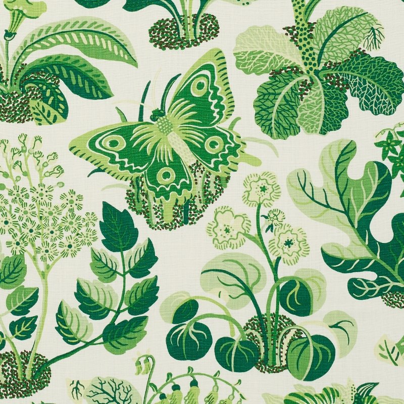 Purchase sample of 176185 Exotic Butterfly, Leaf by Schumacher Fabric