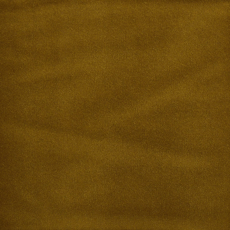 Purchase sample of 70500 Rocky Performance Velvet, Reed by Schumacher Fabric