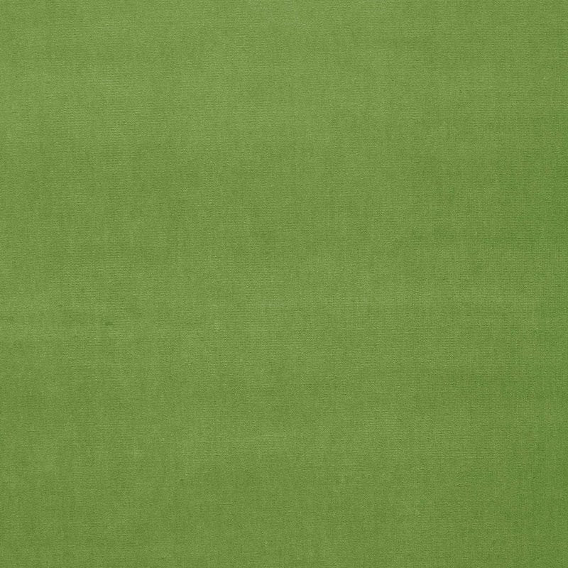 Purchase sample of 64576 Gainsborough Velvet, Grass by Schumacher Fabric