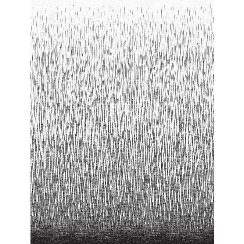 Sample 2764-24363 Amaya Black Wall Mural Mistral by A-Street Prints