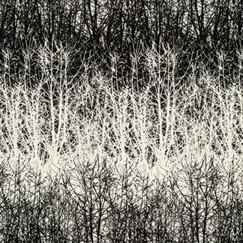 Purchase sample of 2644021 Birches, Black by Schumacher Fabric
