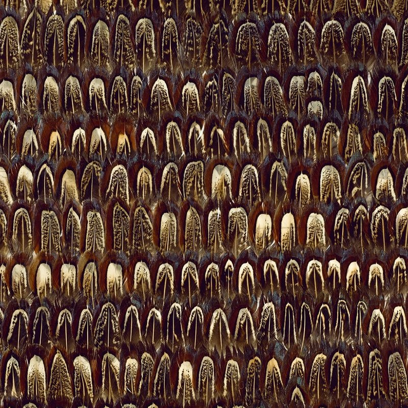 Shop 5003970 Caumsett Sable Schumacher Wallpaper