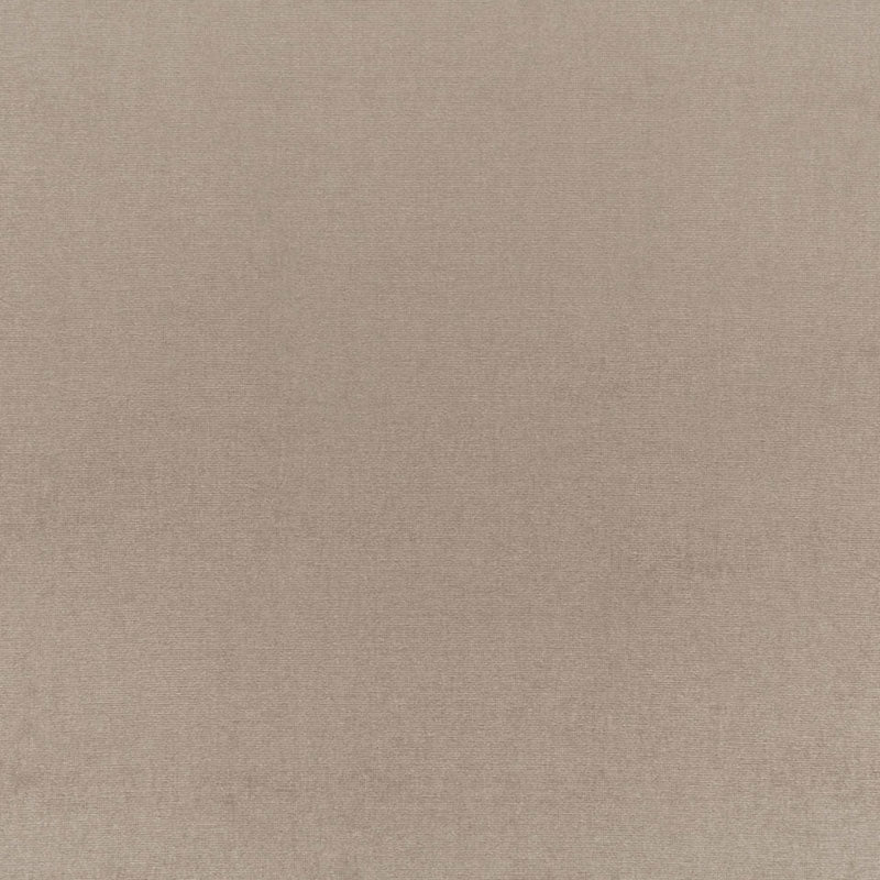 Purchase sample of 68158 Sophia Velvet, Taupe by Schumacher Fabric