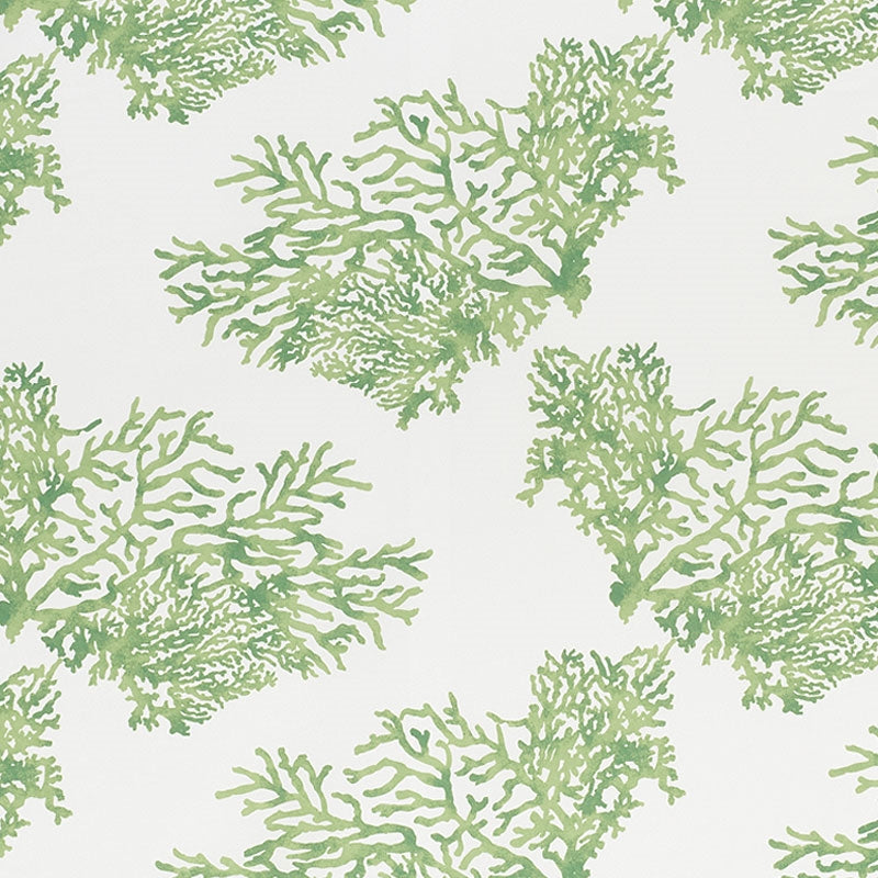 Purchase sample of 178291 Great Barrier Reef Ii, Green by Schumacher Fabric
