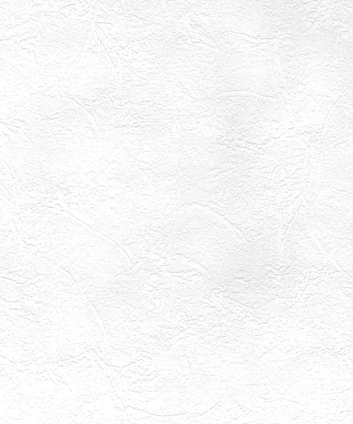 Find 2780-67473 Paintable Solutions 5 Cale Paintable Slap Trowel Plaster Wallpaper Paintable Brewster