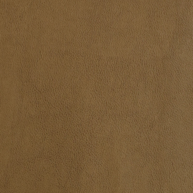 Order F2872 Tan Upholstery Greenhouse Fabric