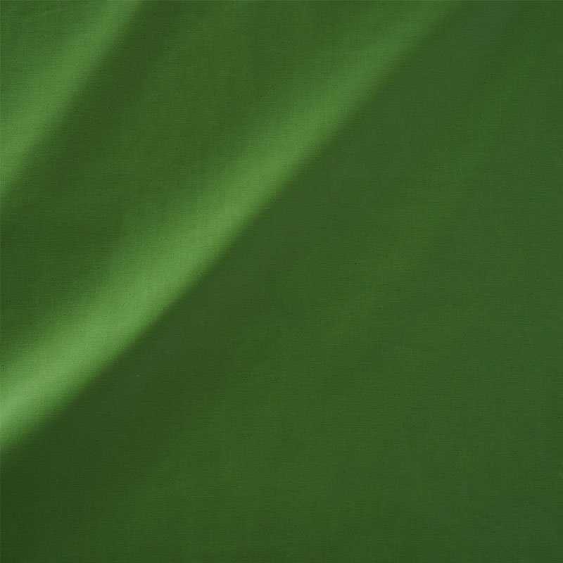 Purchase sample of 76989 Cecil Cotton Chintz, Leaf by Schumacher Fabric