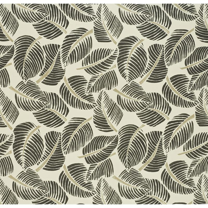 Purchase sample of 176193 Costa Rica, Faded Black by Schumacher Fabric