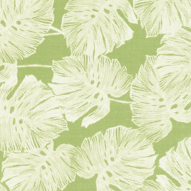 Purchase sample of 178342 Del Coco, Leaf by Schumacher Fabric
