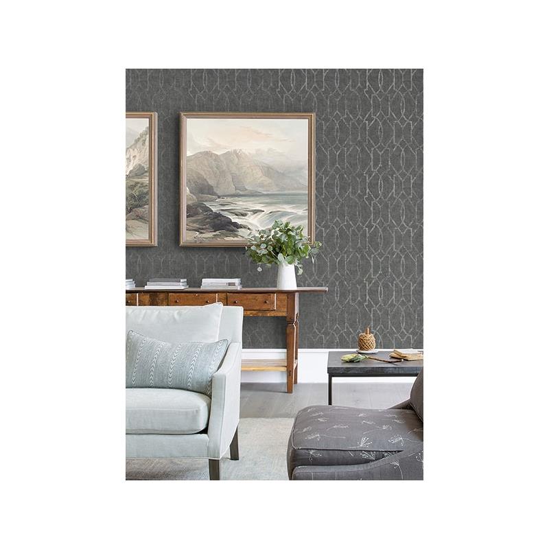 Looking for 2976-86447 Grey Resource Ziva Silver Metallic Trellis Silver A-Street Prints Wallpaper