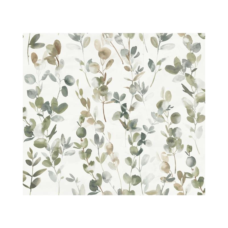 OS4311 Joyful Eucalyptus