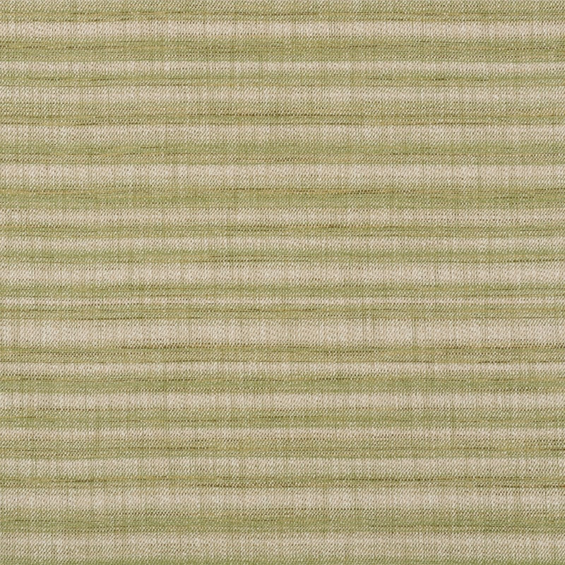 Purchase sample of 73362 Petra Stripe, Grass by Schumacher Fabric