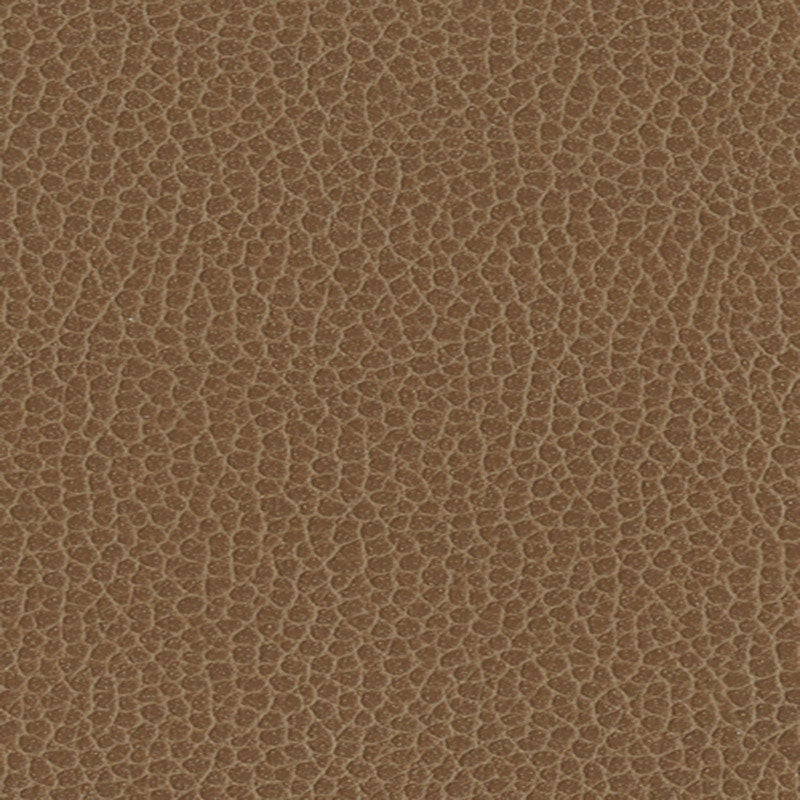 Purchase sample of 363-3141 Promessa, Fields by Schumacher Fabric