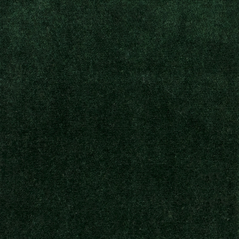 Acquire S1060 Bonsai Green Texture Greenhouse Fabric