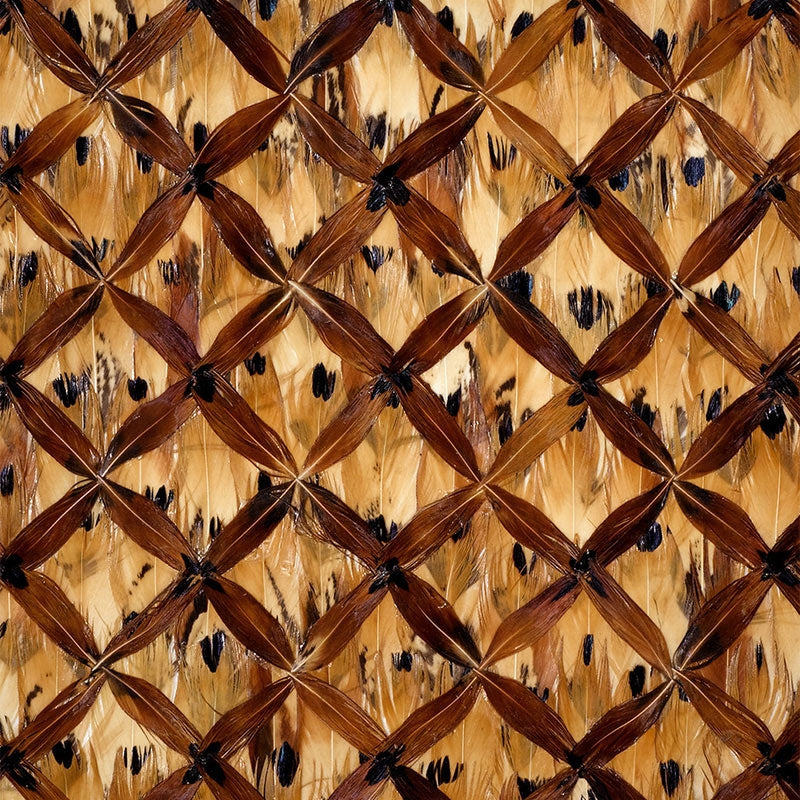 Search 5003830 Wellesley Tiger'S Eye Schumacher Wallpaper