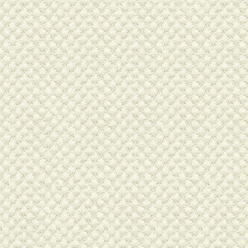 Acquire 25807.1.0 Solids/Plain Cloth White by Kravet Design Fabric