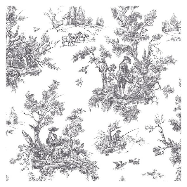 Find AB42413 Abby Rose 3 Black Toile Wallpaper by Norwall Wallpaper