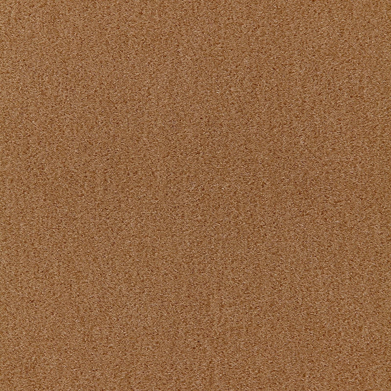 Purchase sample of 64851 San Carlo Mohair Velvet, Fawn by Schumacher Fabric