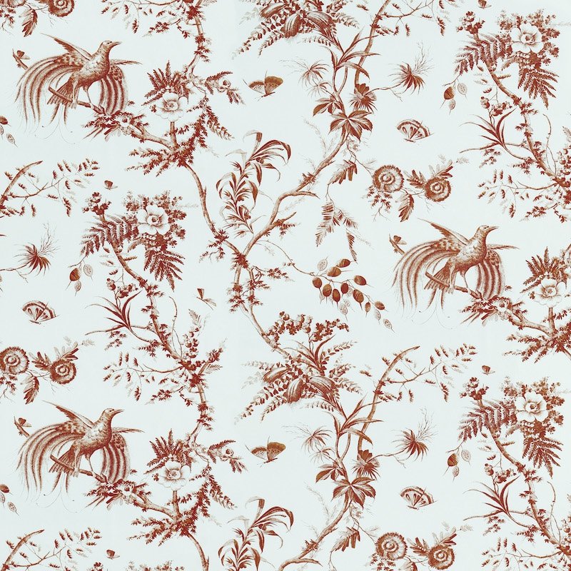 Purchase sample of 179572 Toile De La Prairie, Brown by Schumacher Fabric