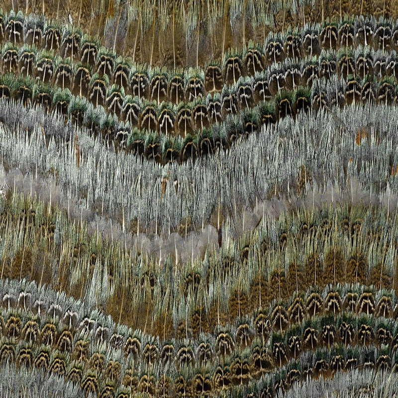 Looking for 5004020 Clearwater Blue Heron Schumacher Wallpaper