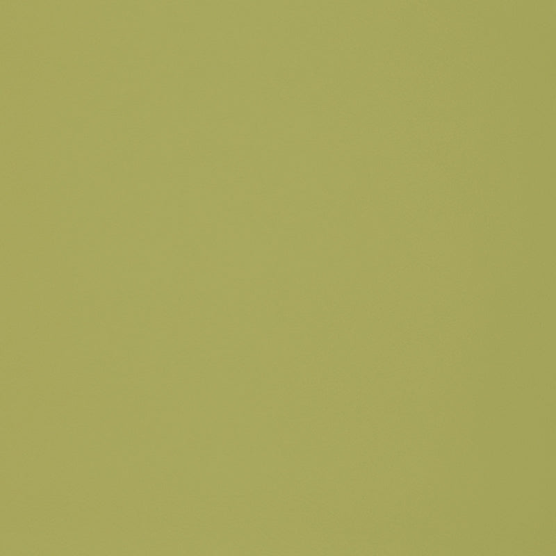 View F2899 Meadow Upholstery Greenhouse Fabric