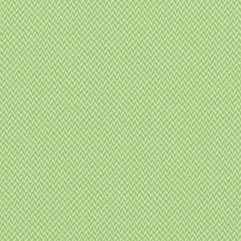 Find F4176 Kiwi Green Chevron Greenhouse Fabric