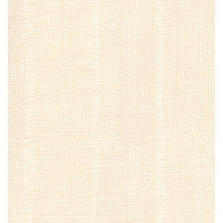 Save AM44711 Atmosphere Beige Texture by Washington Wallpaper