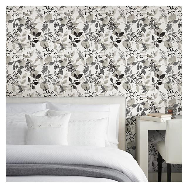 Shop 2716-23866 Gossamer Black Botanical A-Street Prints Wallpaper