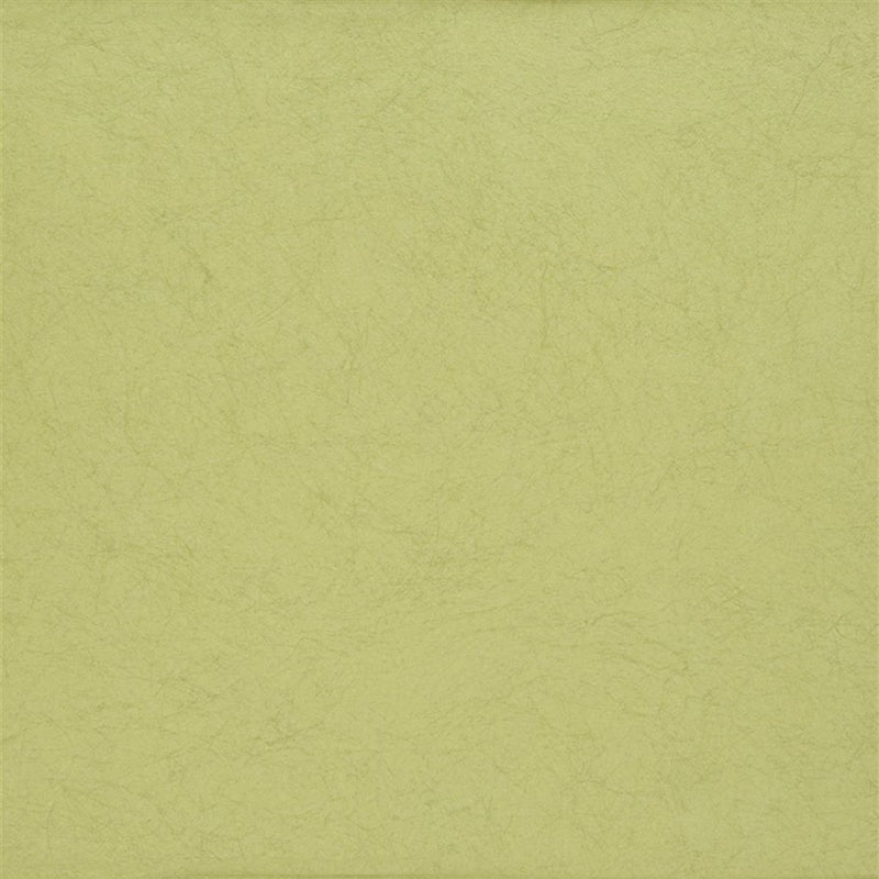 Find P502/55 Ernani Moss by Designer Guild Wallpaper