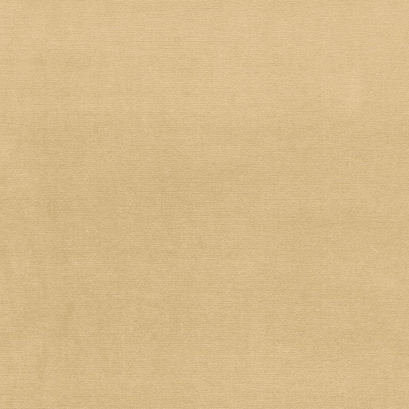 Purchase sample of 43248 Gainsborough Velvet, Ecru by Schumacher Fabric