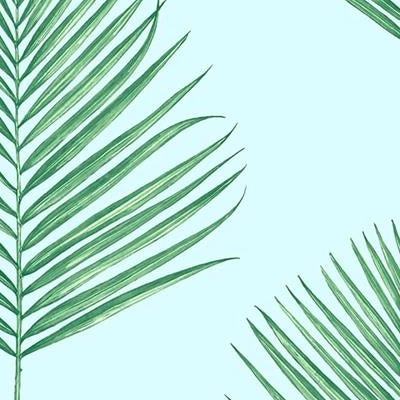 Save LN20004 Luxe Haven Maui Palm Celeste & Jade by Lillian August Wallpaper