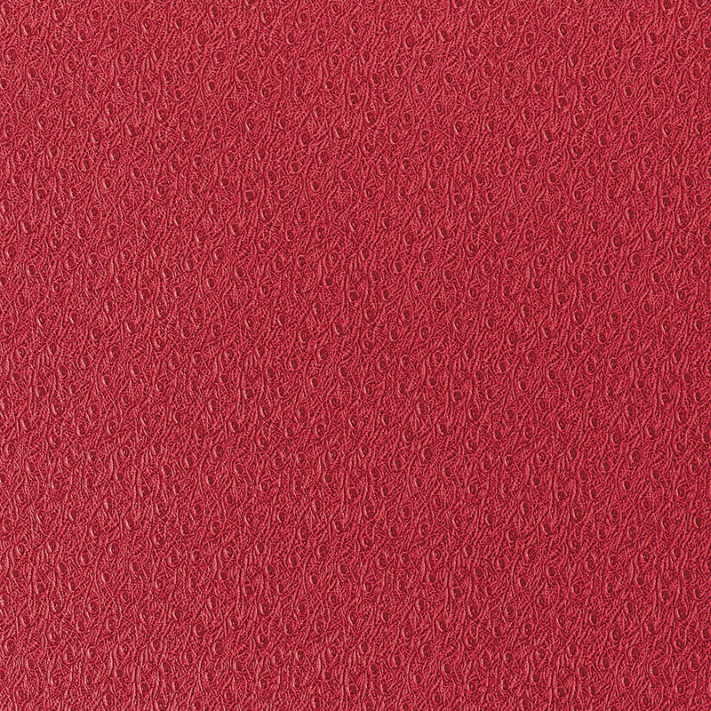 Search 5007351 Ostrich Scarlet Schumacher Wallpaper