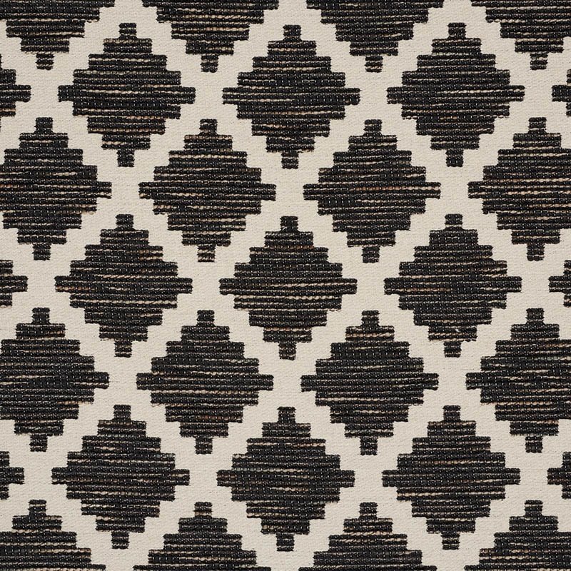 Purchase sample of 76540 Tibur, Black by Schumacher Fabric
