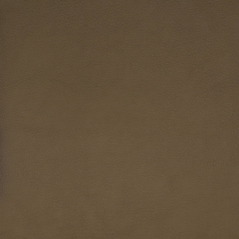 Save F1859 Beige Brown Texture Greenhouse Fabric
